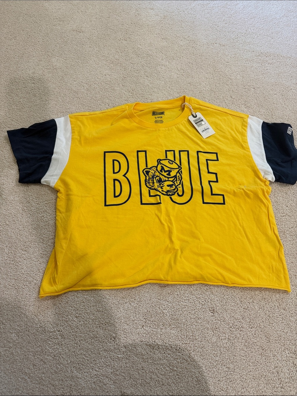 University of Michigan Yellow Colorblock Crop Tee